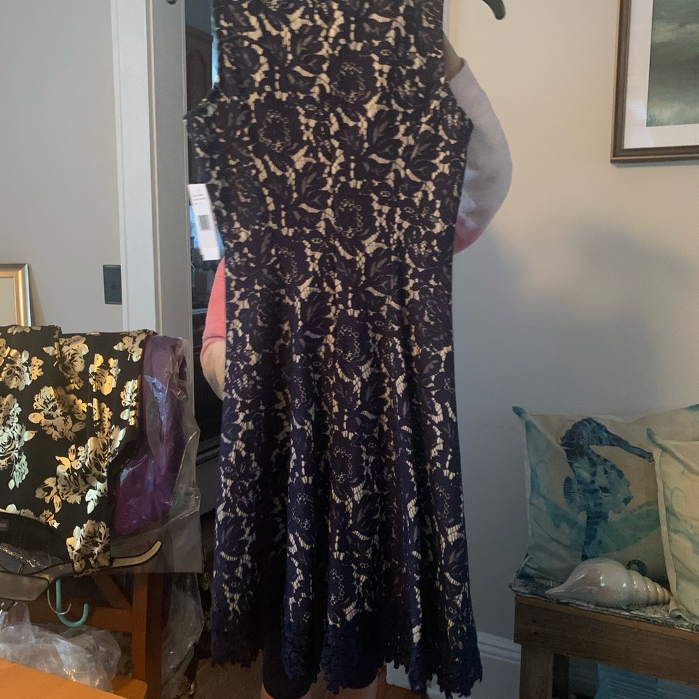 Donna Ricco Navy and Cream Lace Midi Dress